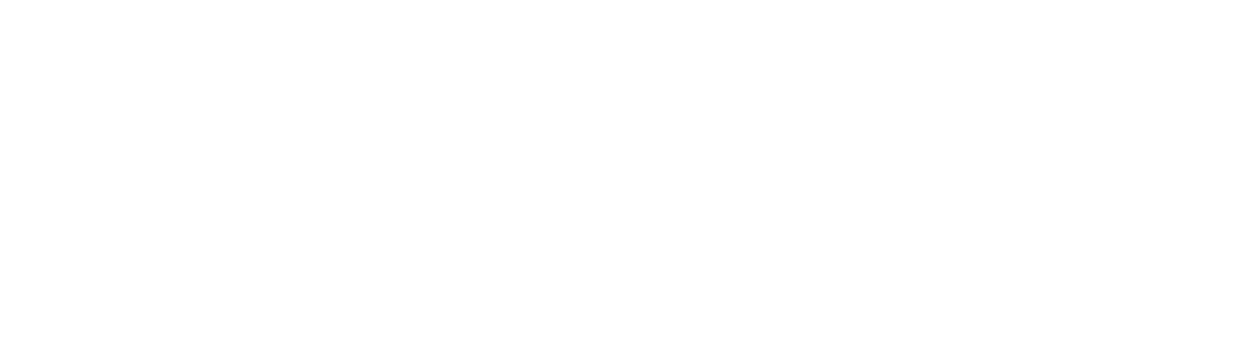 Nouveau Niveau